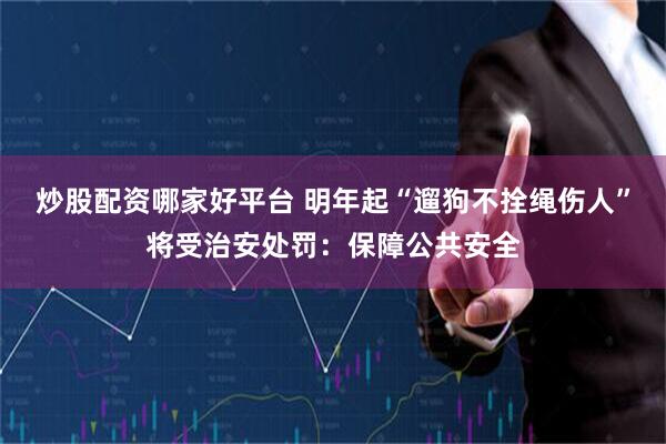 炒股配资哪家好平台 明年起“遛狗不拴绳伤人”将受治安处罚：保障公共安全