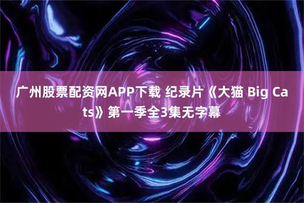 广州股票配资网APP下载 纪录片《大猫 Big Cats》第一季全3集无字幕