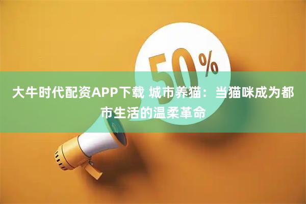 大牛时代配资APP下载 城市养猫：当猫咪成为都市生活的温柔革命