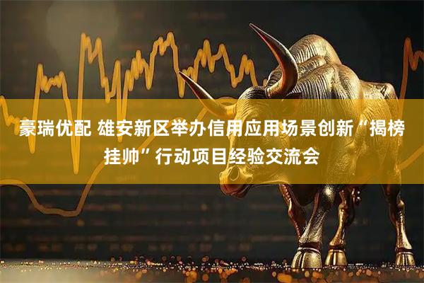 豪瑞优配 雄安新区举办信用应用场景创新“揭榜挂帅”行动项目经验交流会
