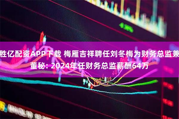 胜亿配资APP下载 梅雁吉祥聘任刘冬梅为财务总监兼董秘: 2024年任财务总监薪酬64万