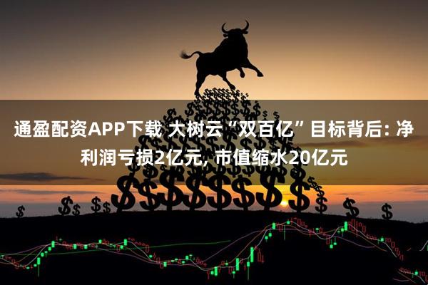 通盈配资APP下载 大树云“双百亿”目标背后: 净利润亏损2亿元, 市值缩水20亿元