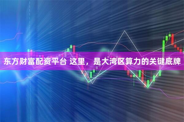 东方财富配资平台 这里，是大湾区算力的关键底牌