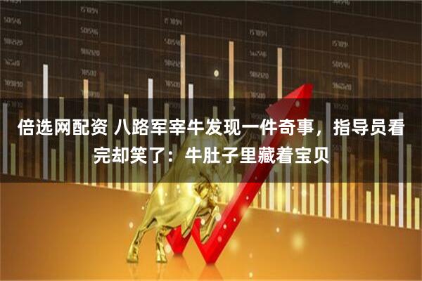倍选网配资 八路军宰牛发现一件奇事，指导员看完却笑了：牛肚子里藏着宝贝